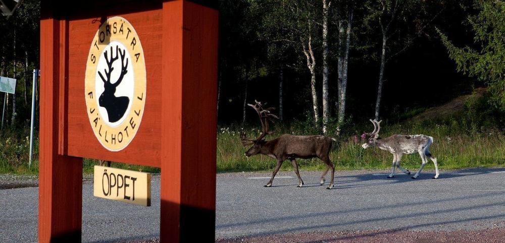Storsaetra Fjaellhotell Grövelsjön Kültér fotó